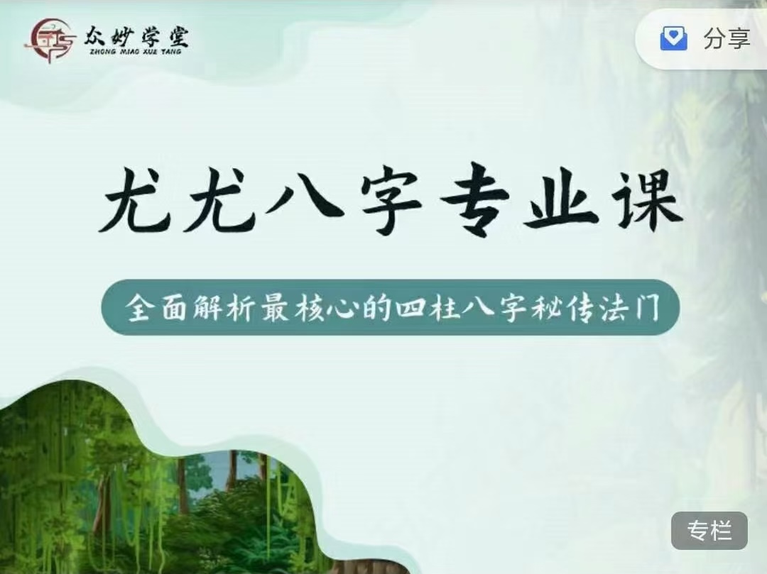 《众筹》众妙学堂-尤尤八字专业课插图