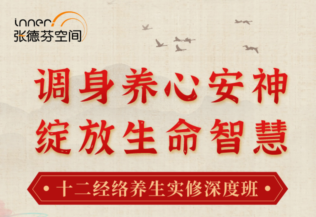 唐一杰：调身养心安神，绽放生命智慧 十二经络养生实修深度班 视频课插图