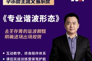 杰克交易学院JTA-专业谐波形态视频课