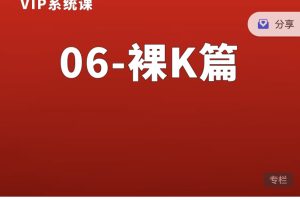 熊猫交易学社黄金VIP系统课06-裸K篇（价格行为篇）36集