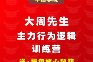 大周先生:主力行为逻辑训练营半年期(第七期)7-12月