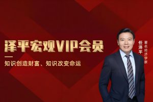 泽平宏观-财富实战课VIP会员