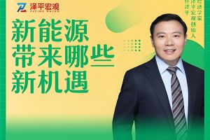 任泽平-新能源带来哪些新机遇