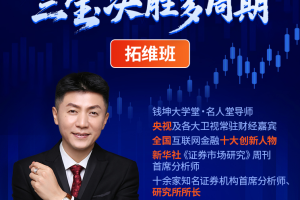 2026年平步老师（陈建平）《高胜算根源·三宝决胜多周期》 拓维班全套更新中